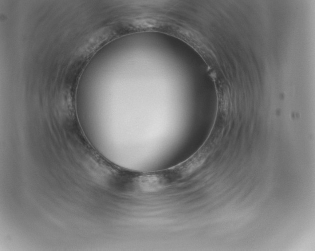 X0000073900418200608111135