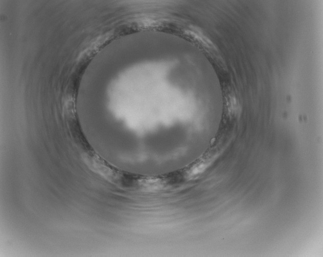 X0000073900419200608111135