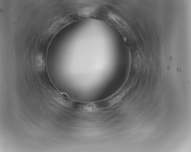 X0000073900420200608111135