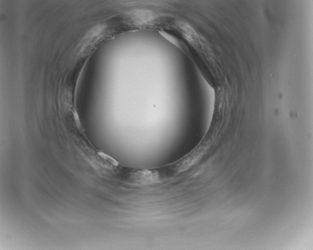 X0000073900421200608111135