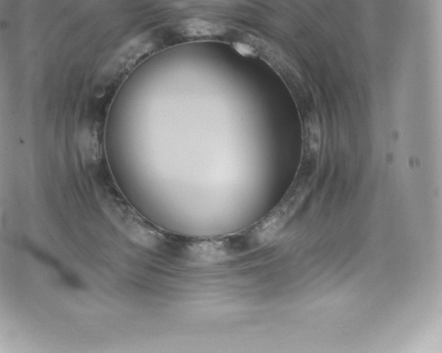 X0000073900422200608111135