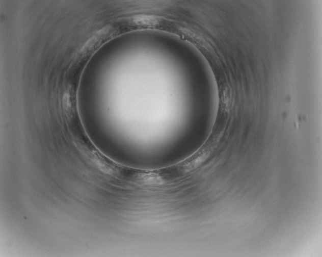 X0000073900424200608111135