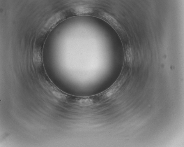 X0000073900426200608111135