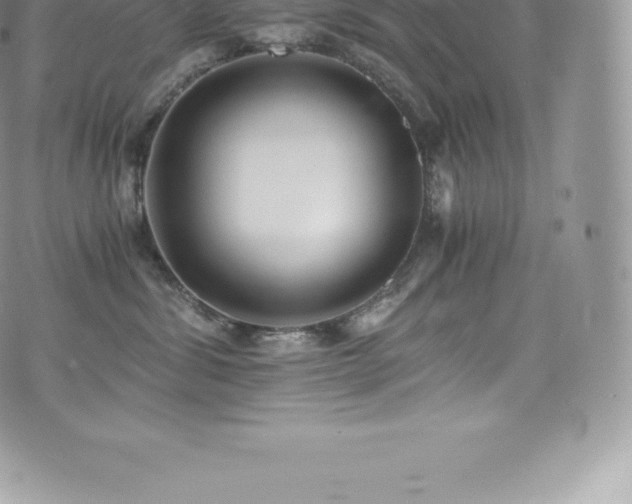 X0000073900428200608111135