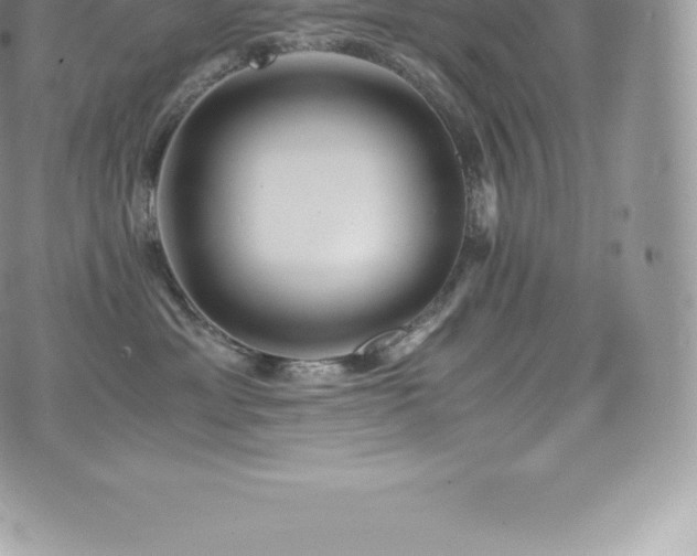 X0000073900429200608111135