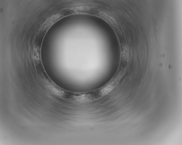 X0000073900430200608111135