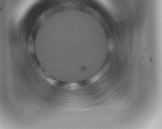 X0000073900431200608111135