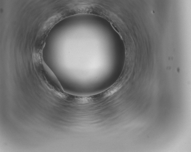 X0000073900432200608111135