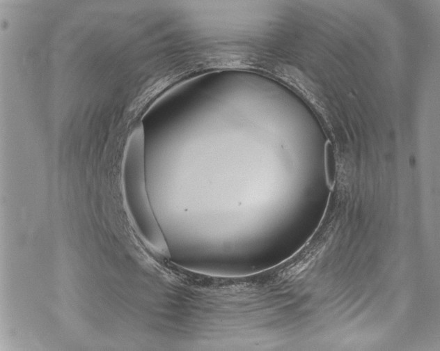 X0000073900433200608111134