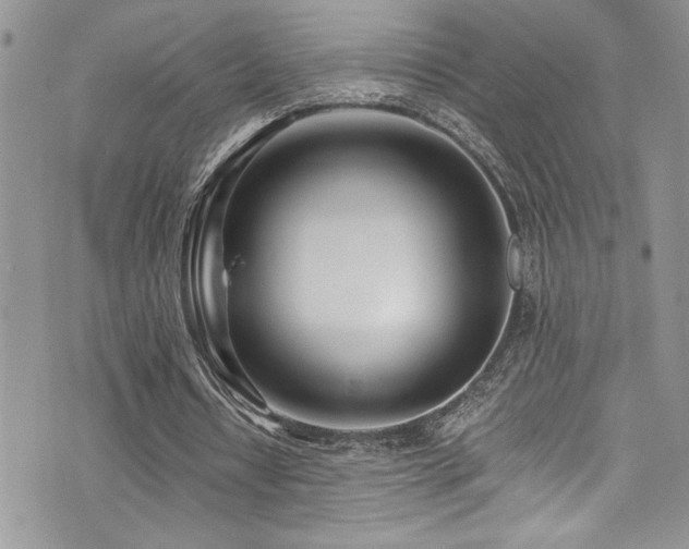 X0000073900434200608111134