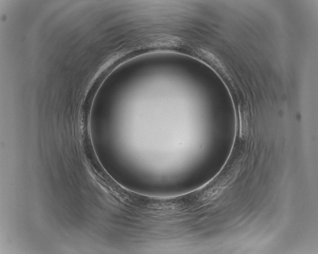 X0000073900435200608111134