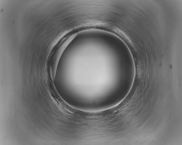 X0000073900436200608111134