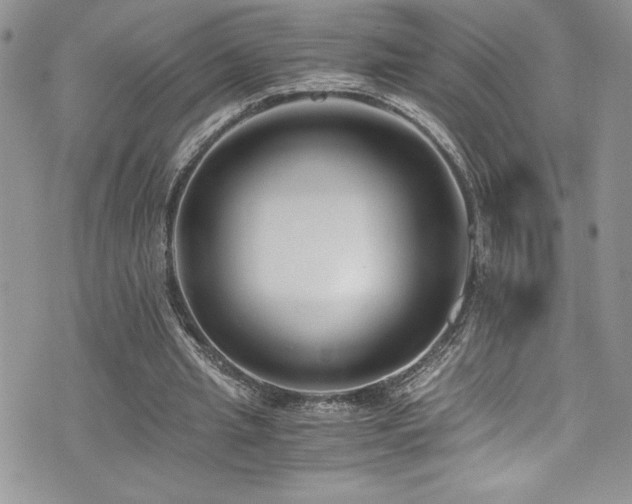 X0000073900437200608111134