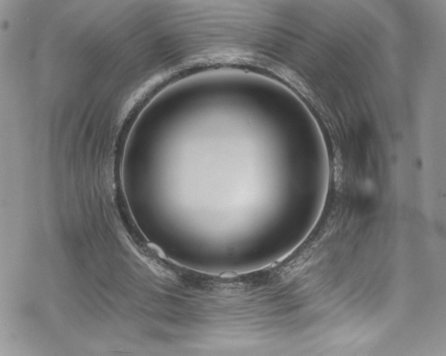 X0000073900438200608111134