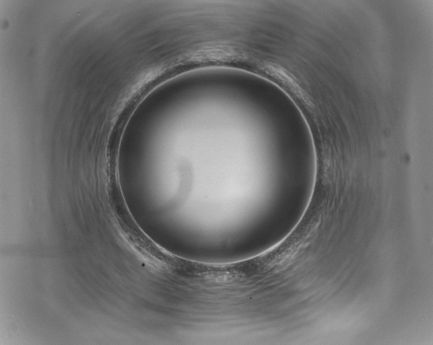 X0000073900439200608111134