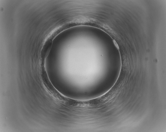 X0000073900440200608111134