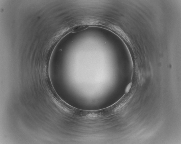 X0000073900441200608111134