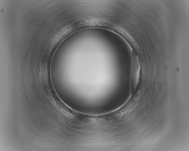 X0000073900442200608111134