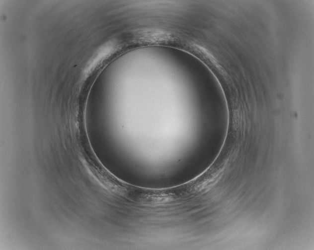 X0000073900443200608111134