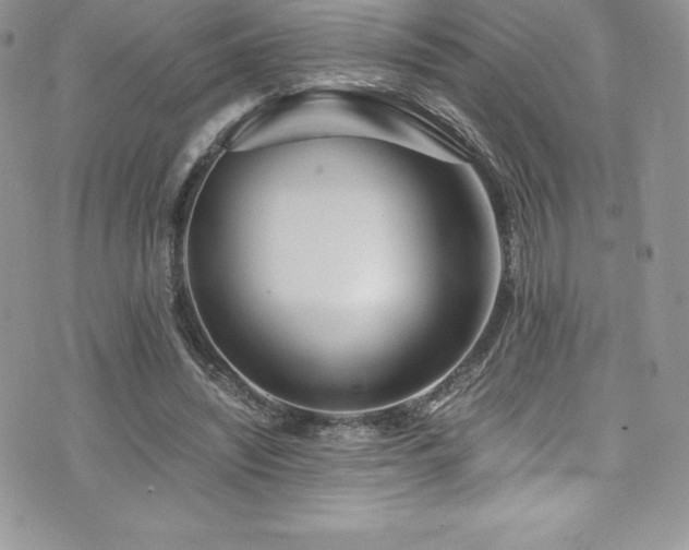 X0000073900444200608111134