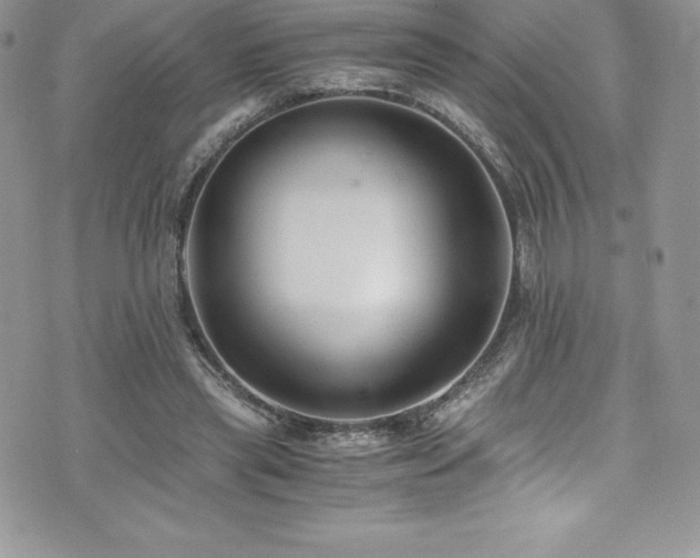 X0000073900445200608111134