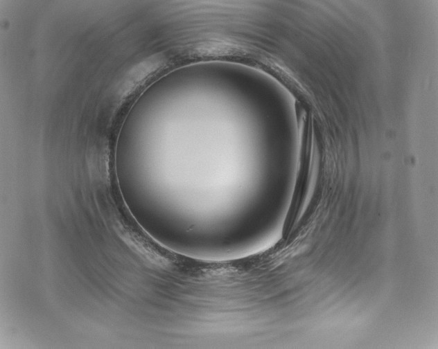 X0000073900446200608111134