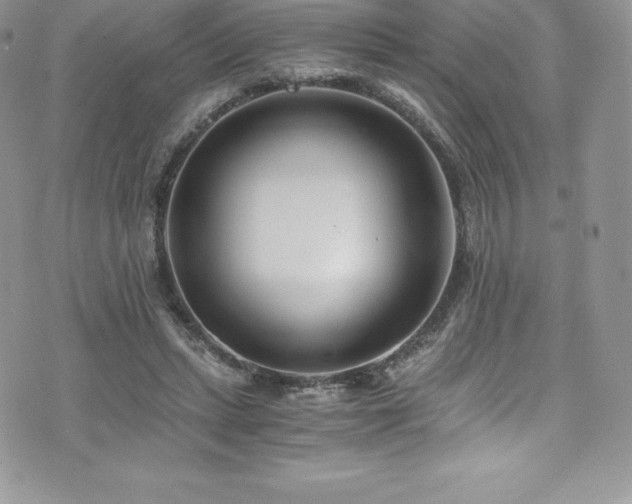 X0000073900447200608111134