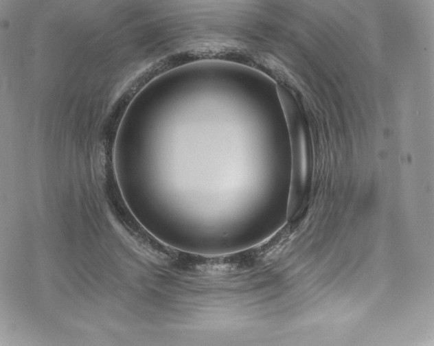 X0000073900448200608111134