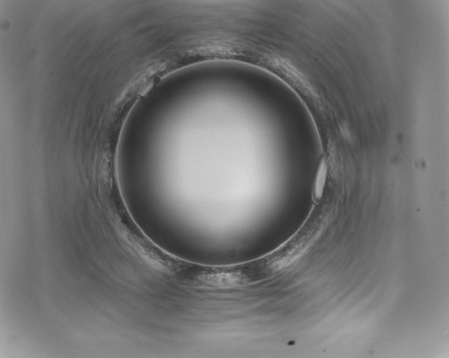 X0000073900449200608111134