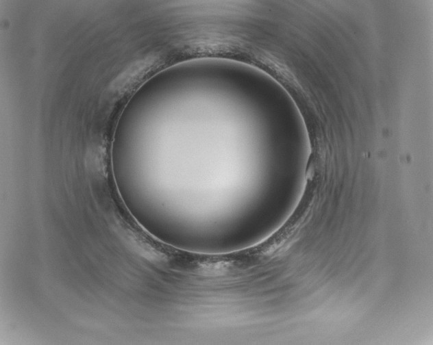 X0000073900450200608111134