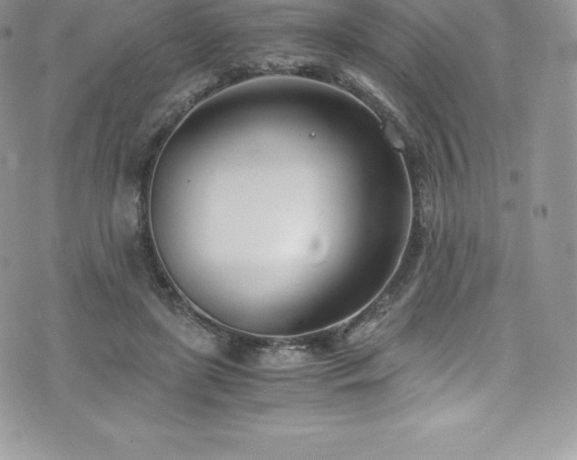 X0000073900451200608111134