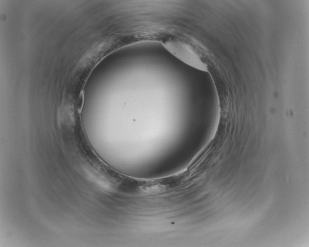 X0000073900452200608111134