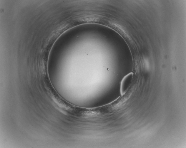 X0000073900453200608111134