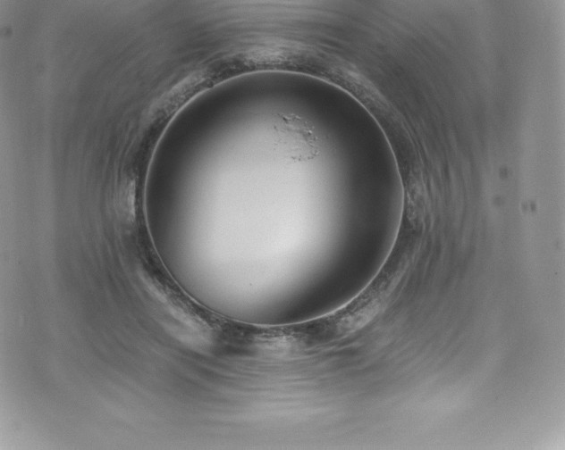 X0000073900454200608111134