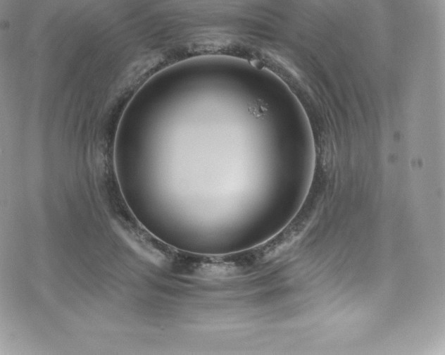 X0000073900455200608111134