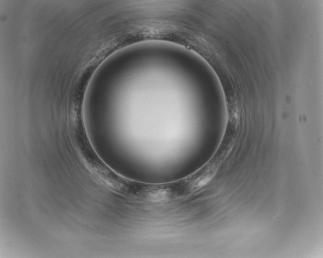 X0000073900456200608111134