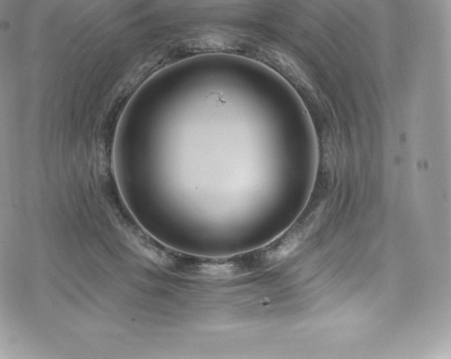 X0000073900457200608111134