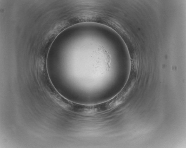 X0000073900458200608111134