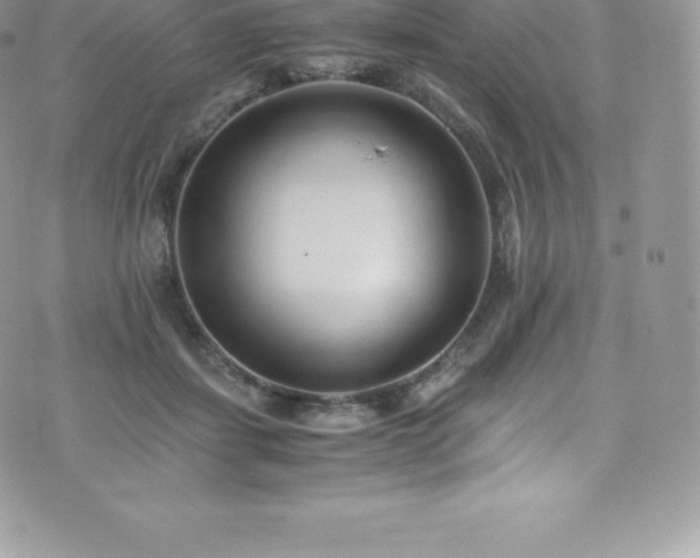 X0000073900459200608111134