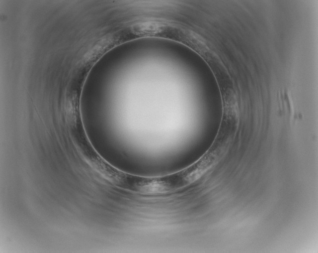 X0000073900460200608111134