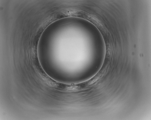 X0000073900461200608111134