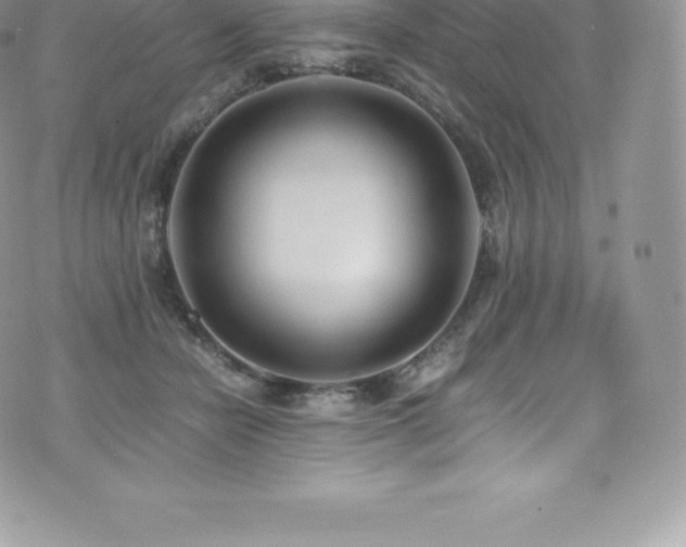 X0000073900462200608111134