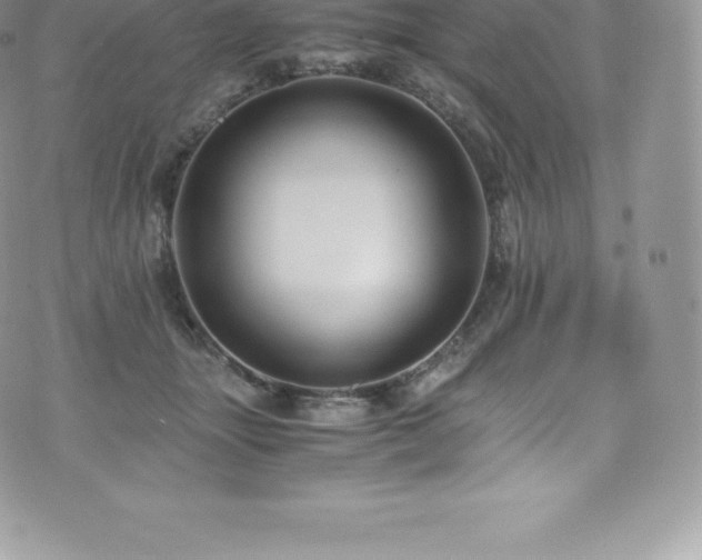 X0000073900463200608111134