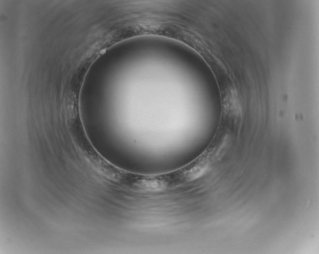 X0000073900464200608111134