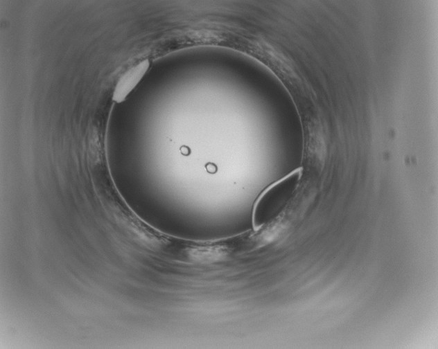 X0000073900465200608111134