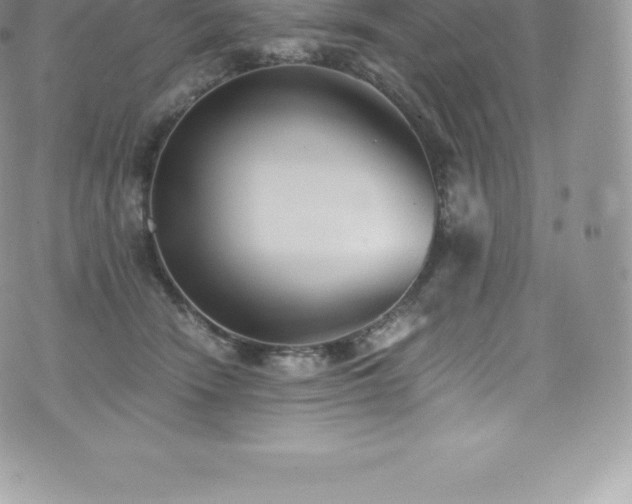 X0000073900466200608111134