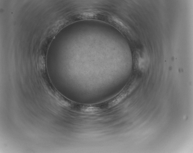 X0000073900467200608111134