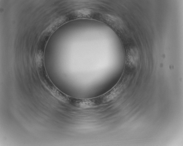 X0000073900468200608111134