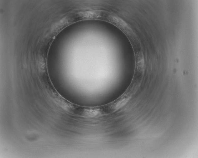 X0000073900469200608111134