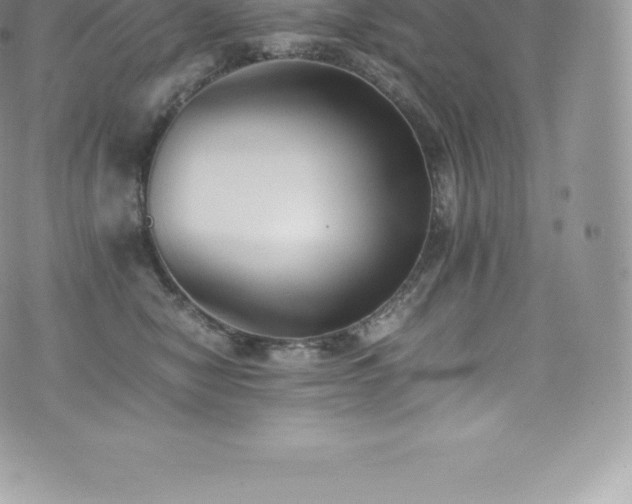 X0000073900470200608111134